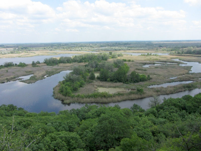 Лучківський заказник